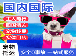 三沙空运公司国际宠物托运 【国