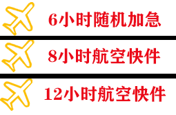 三沙空运公司快递公司,专业空运当天件